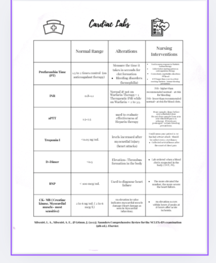 Nursing School Planner- Undated Academic Year 2026-2027