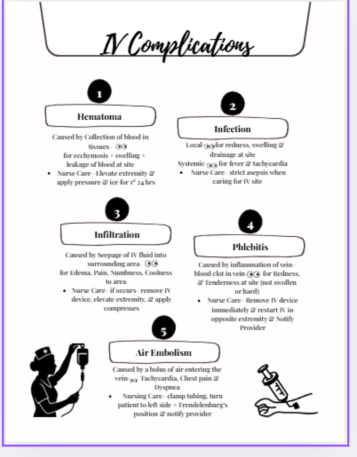 Nursing School Planner- Undated Academic Year 2026-2027